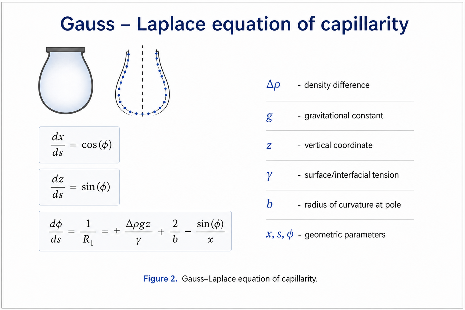 Molecular origin of surface tension showing balanced intermolecular forces in the bulk and an unbalanced inward force at the liquid surface.